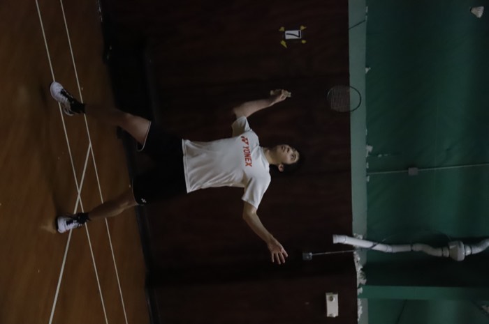 Badminton photograph